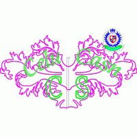 塞尔卡什队徽设计图 免费花样