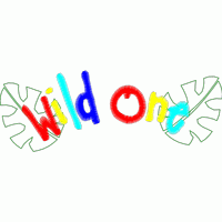彩色“Wild One”字样装饰 免费花样