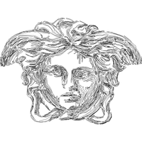 美杜莎头像线描图 免费花样