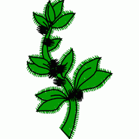 绿色植物刺绣图案 小花