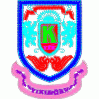 学校徽章设计图 免费花样