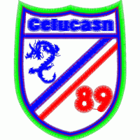 Celucasn 89 队徽 免费花样
