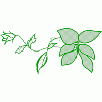 绿色植物刺绣图案 好看的花朵