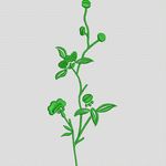 绿色植物刺绣图案 简单小花样