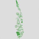 绿色刺绣植物图案 牛仔裤