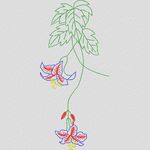 刺绣植物花卉图案 植物花型