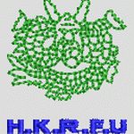 绿色像素化龙形标志 章仔字母