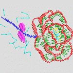 分子结构模拟图 休闲裤衣领牛仔花