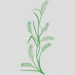 绿色植物刺绣图案 休闲裤衣领牛仔花