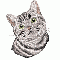 银色虎斑猫刺绣头像 小猫纯平针绣花花样版带下载