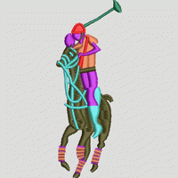   polo 廨